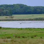 Prázdninový dům 8 Person In Vaeggerlose-by Traum Bøtø By