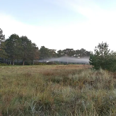 8 Person In Vaeggerlose-by Traum Bøtø By