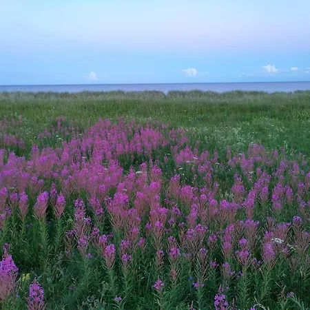 8 Person In Vaeggerlose-by Traum * Bøtø By