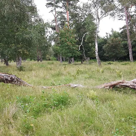 8 Person In Vaeggerlose-by Traum *
