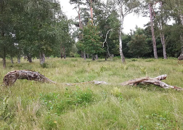 8 Person In Vaeggerlose-by Traum 別荘 *