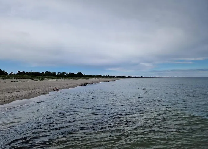 8 Person In Vaeggerlose-by Traum 別荘