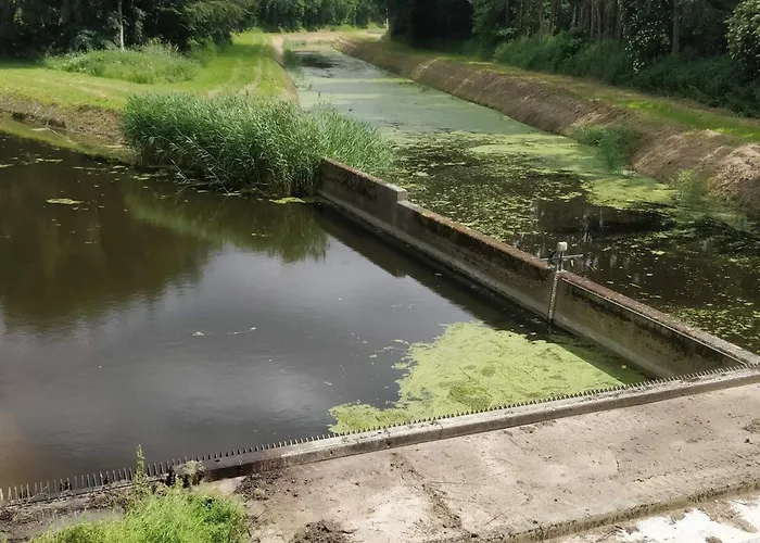 8 Person In Vaeggerlose-by Traum 別荘 *