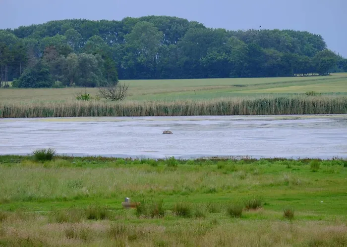 別荘 8 Person In Vaeggerlose-by Traum Bøtø By